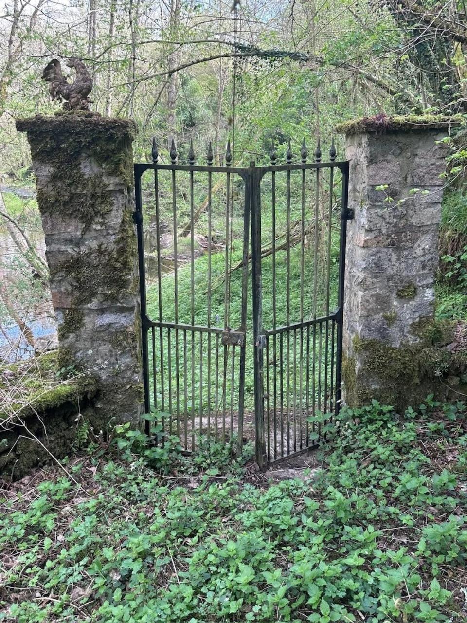 Chateau Mareuil Brigueil-le-Chantre Экстерьер фото